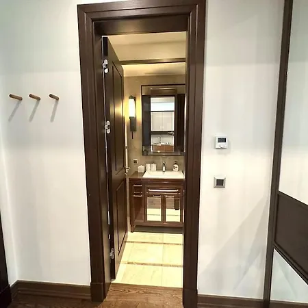 Luxury Apartment